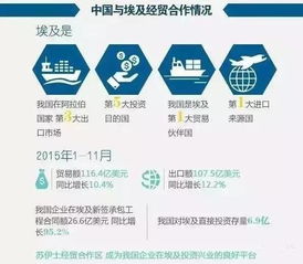 埃及進入國家緊急狀態 商務部發布警示，外貿貨代企業需加強風險防范